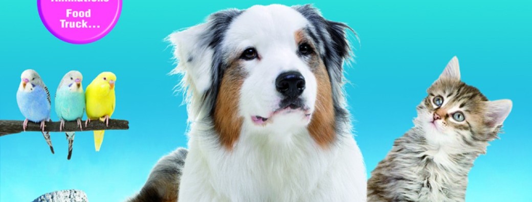 Salon des Animaux de Compagnie et leur bien-être à Aubagne