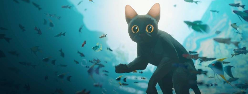 Samedi cinéma : projection du film "Flow"- à partir de 7 ans