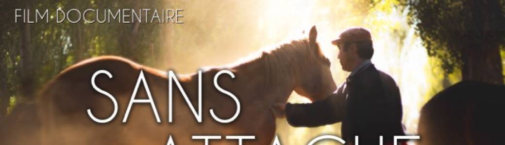 Sans Attache projection conférence en ligne 2504 1/3