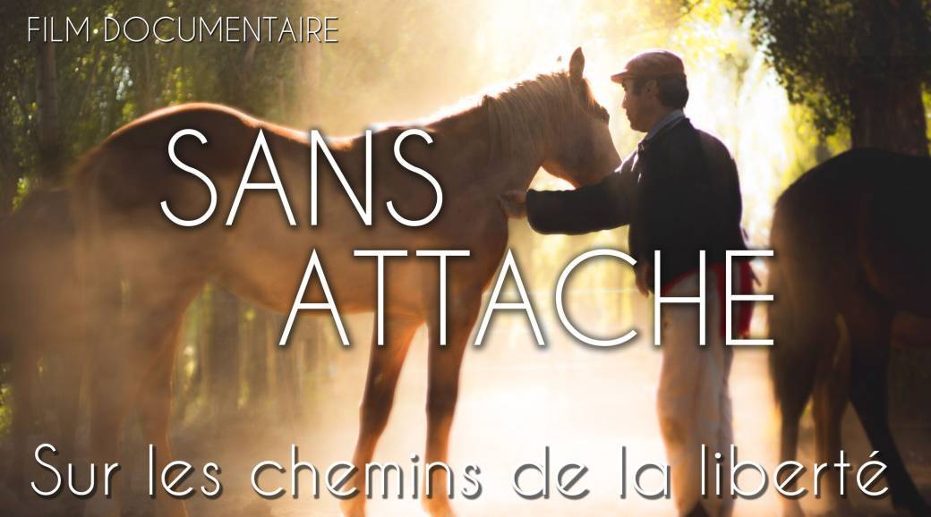 Sans attache projection conférence en ligne 2504 2/3