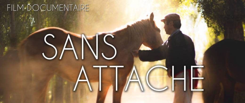 Sans attache projection conférence en ligne 2504 3/3