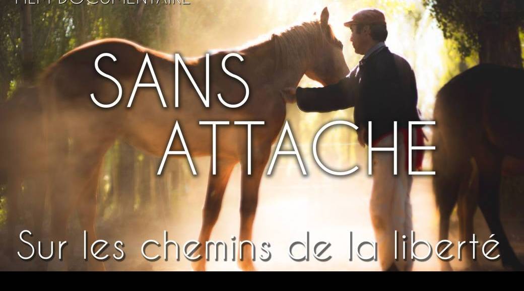 Sans Attache projection conférence en ligne complet !