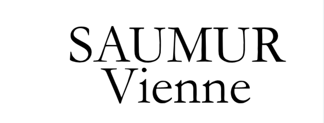 Saumur Vienne 