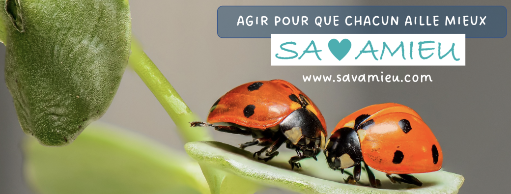 SAVAMIEU LIVE BESANCON