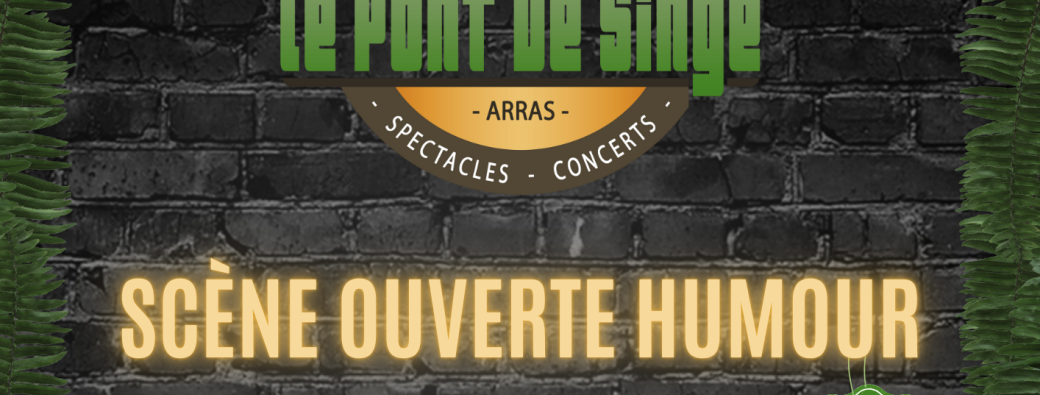 SCENE OUVERTE HUMOUR 24/07 à 21H
