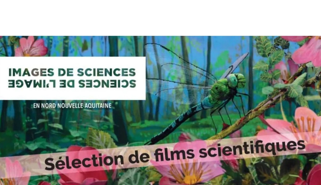 Sciences de l'images, images de science