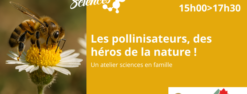 Sciences en famille : les pollinisateurs, des héros de la nature !
