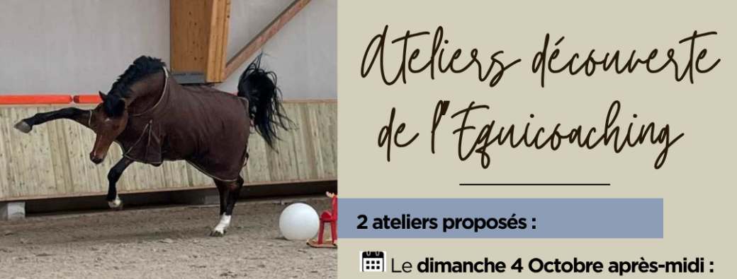 Se connecter au cheval pour se connecter aux autres