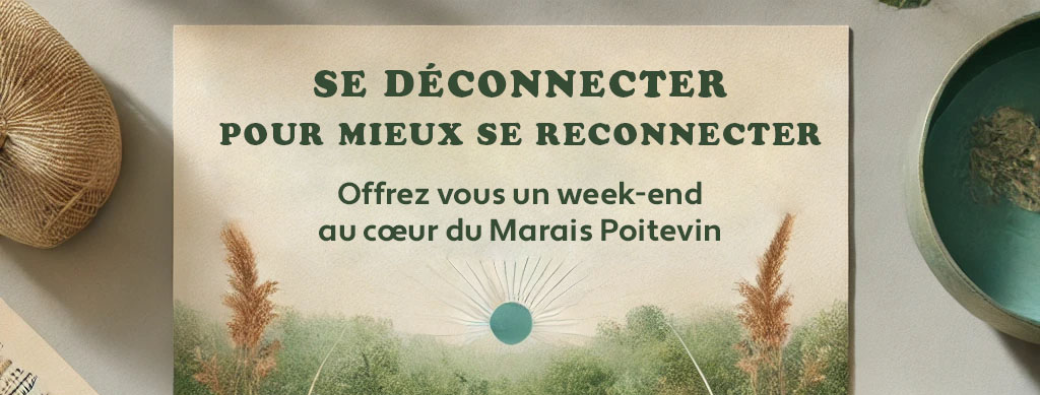 Se déconnecter pour mieux se reconnecter