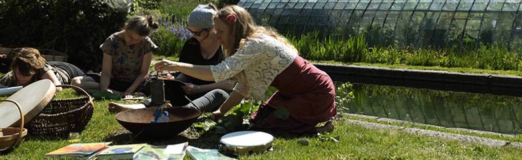 Se relier aux plantes comestibles et médicinales - stage