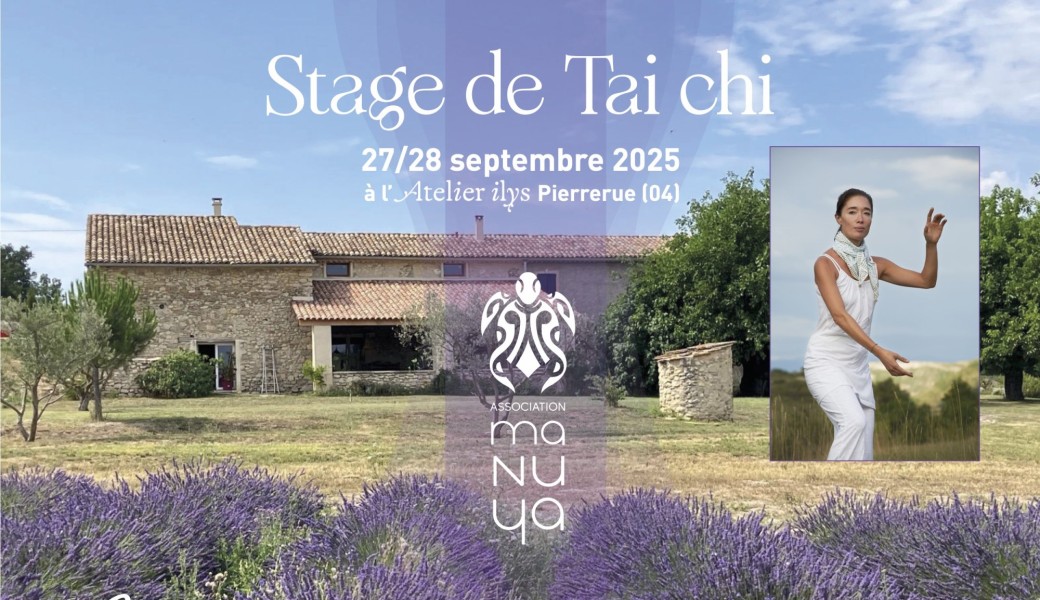 Se ressourcer stage de Tai chi 