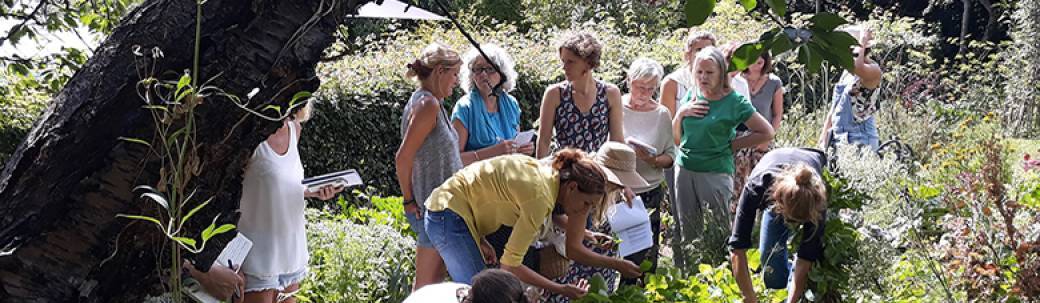 Séance d'information - Formation Jardin Nourricier