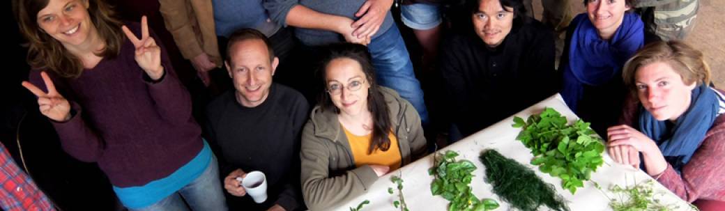 Séance d'information - Formation PDC-Permaculture