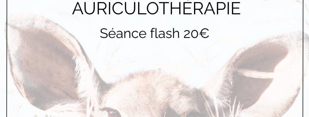 séance flash d'auriculothérapie