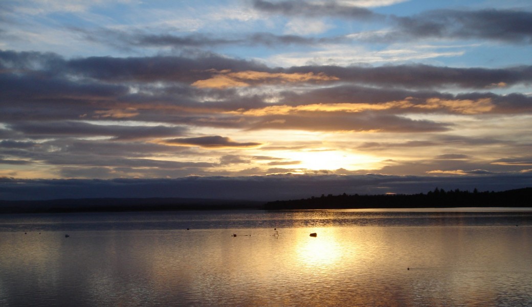 Séance(s) individuelle(s) d'accompagnement en écoute profonde Séance(s) individuelle(s) d'accompagnement en écoute profonde