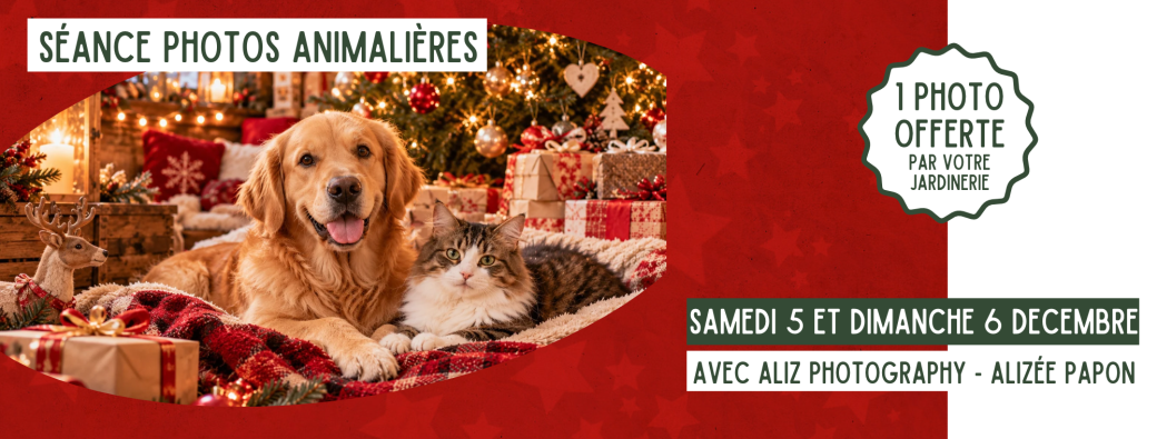 Séance photos animalières 