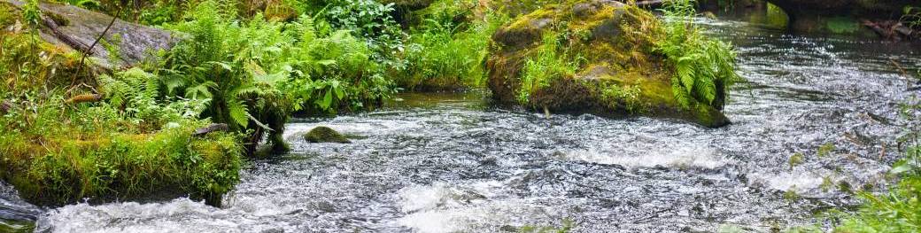 Sophrologie et Relaxation EN LIGNE