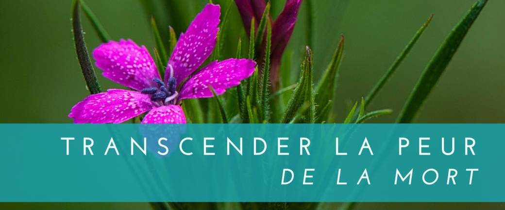 Séance "Transcender la Peur de la Mort"