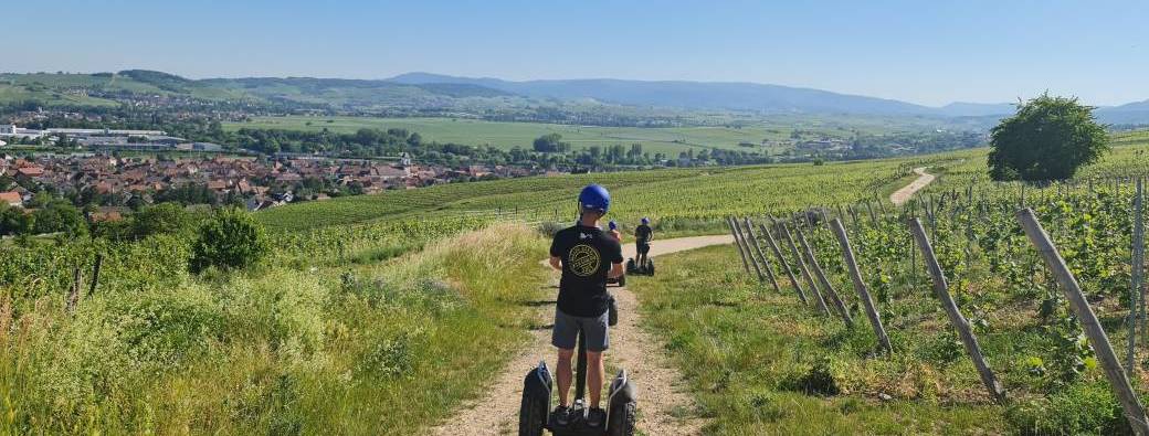 Segway, vignoble de la couronne d'or : entre vignes et vergers