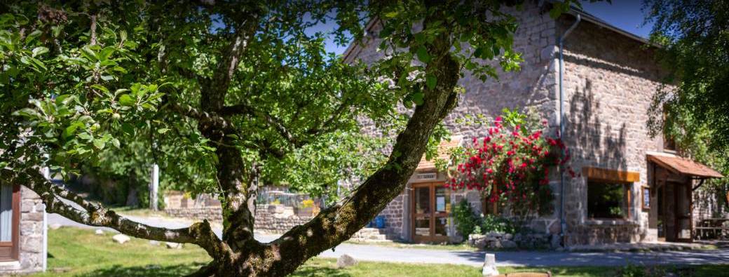 Séjour Bien-être du 27 au 31 juillet 2026