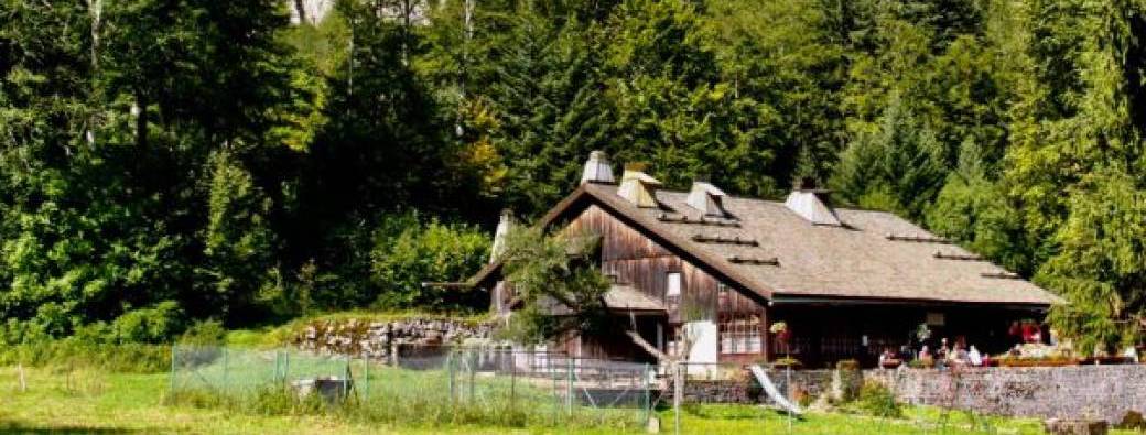  Séjour Cuisine & Bien Être en Suisse