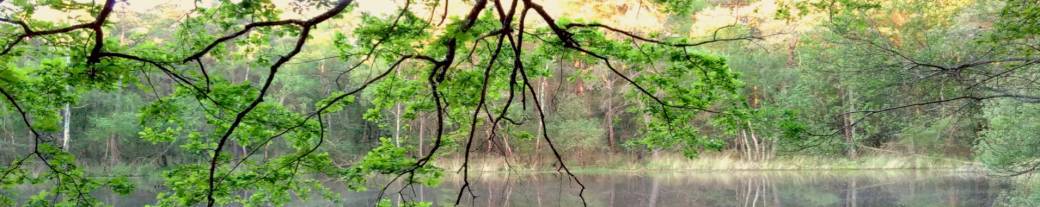 Séjour "Une semaine en forêt d'Amboise"