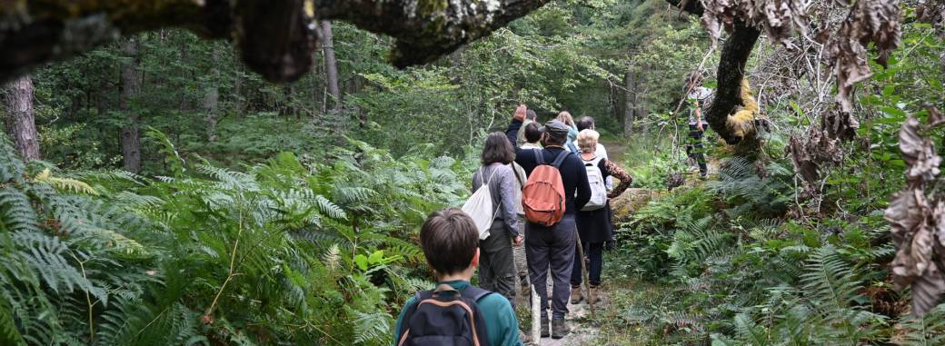 Séjour d'immersion en forêt - familles Séjour d'immersion en forêt - familles
