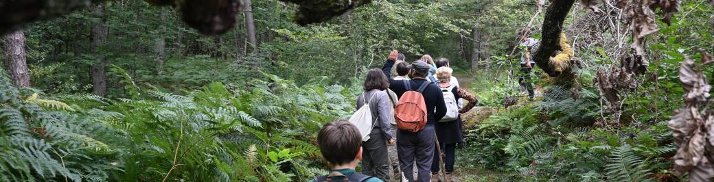 Séjour d'immersion en forêt - familles