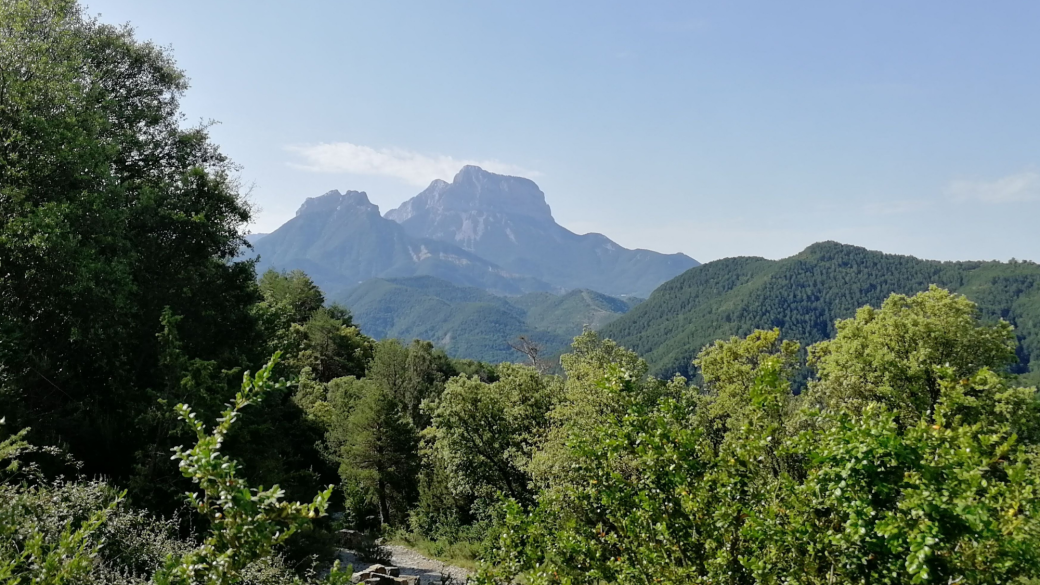 Séjour pyrénéen multi-activités dans la Vallée d'Ossau (64)