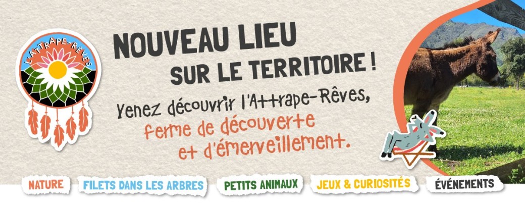 Invitation Pros - L'Attrape-Rêves