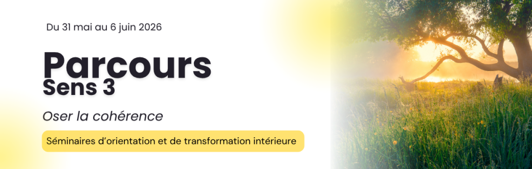 Séminaire SENS 3  Oser la cohérence