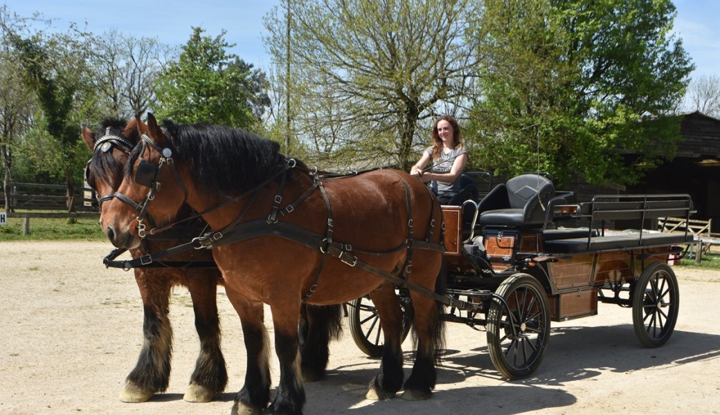 Promenades en calèches à Semur-en-Auxois