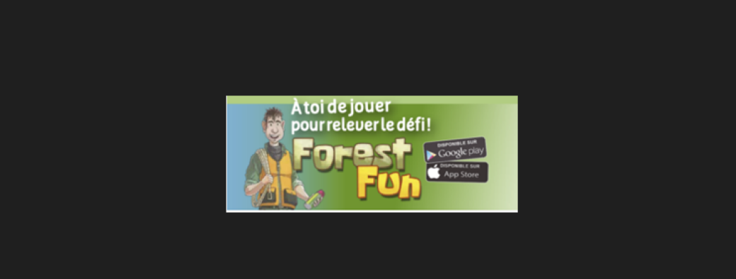 Sentier Forest Fun