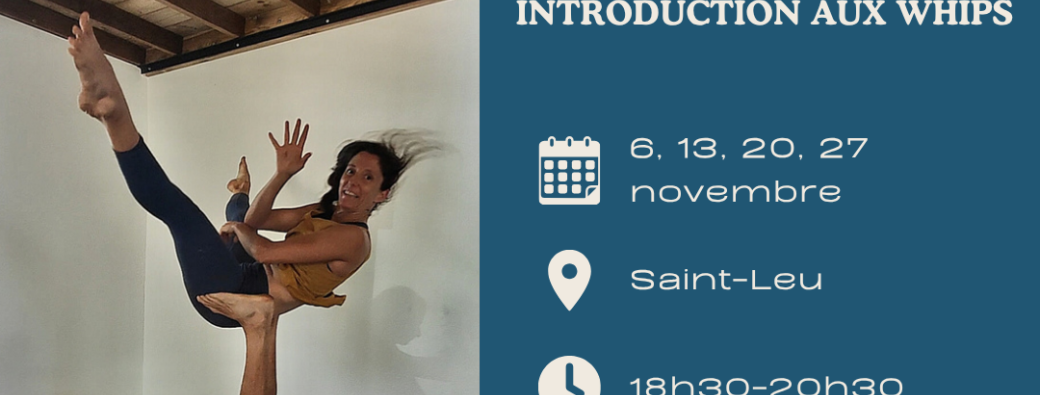 Série de cours - Introduction aux Whips
