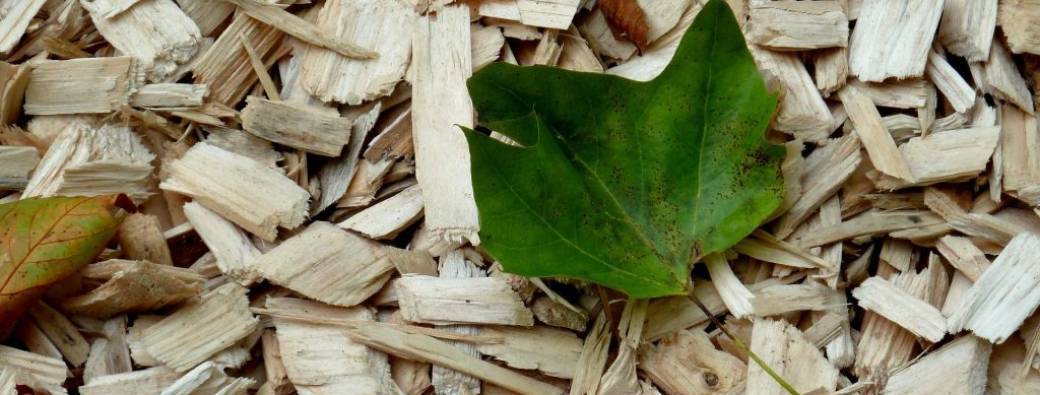 Service broyage à domicile