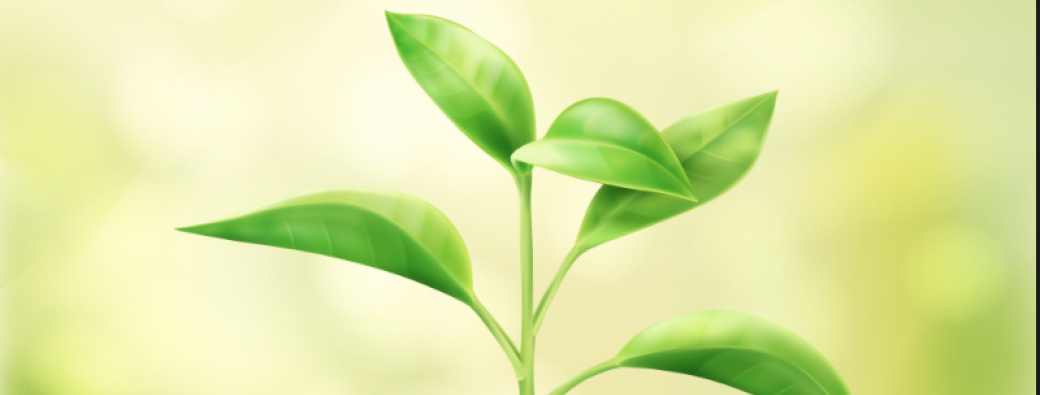 Session de Coaching Prospection automatisée LinkedIn