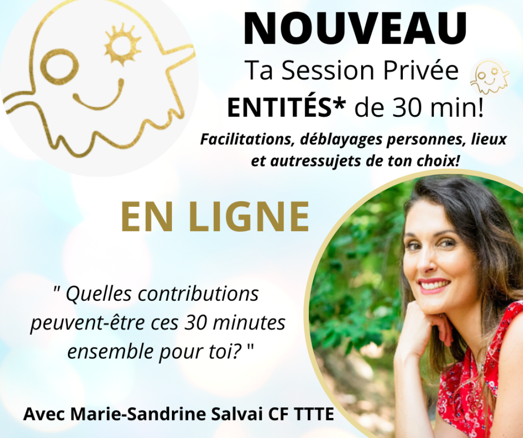 Session Facilitation "Entités" de 30 min en 1 to 1 avec Marie-Sandrine