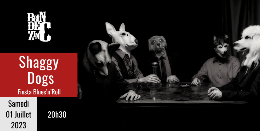 Shaggy Dogs (Fiesta Blues’n’Roll)