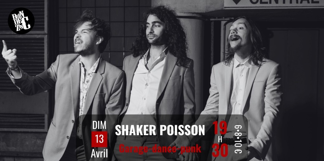 SHAKER POISSON (Garage-dance-punk)