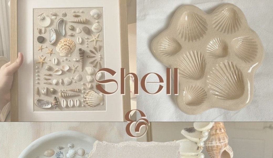 Shell & Sunshine