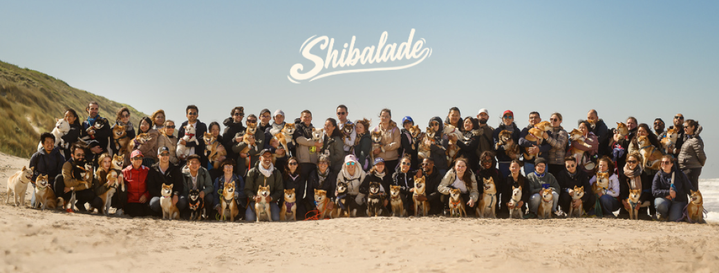ShibAdhésion semi-annuelle 2026 