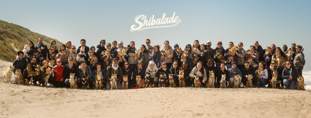 ShiBalade - Poigny la forêt 