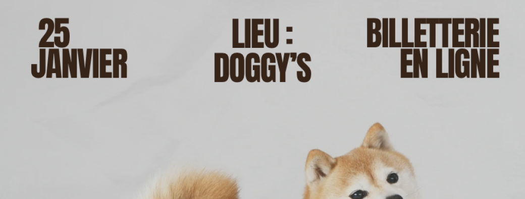 Shibas en folie