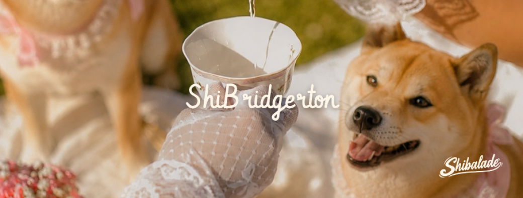 ShiBridgerton 