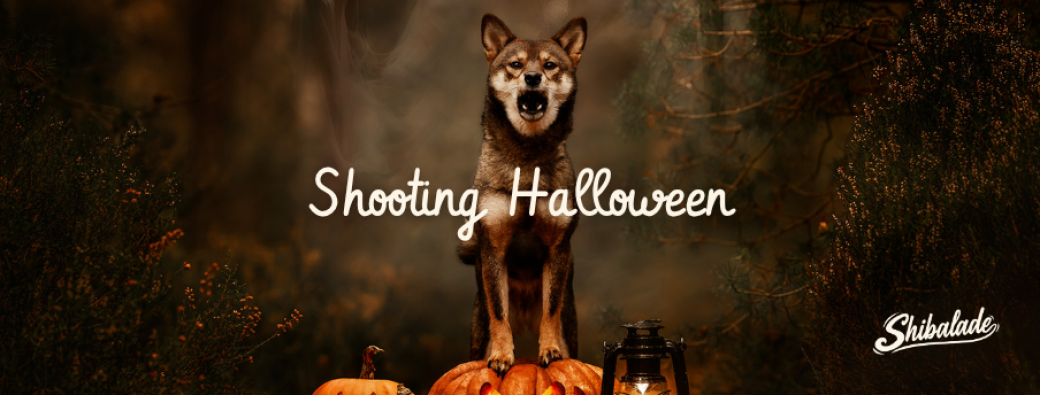 Shooting photos Halloween