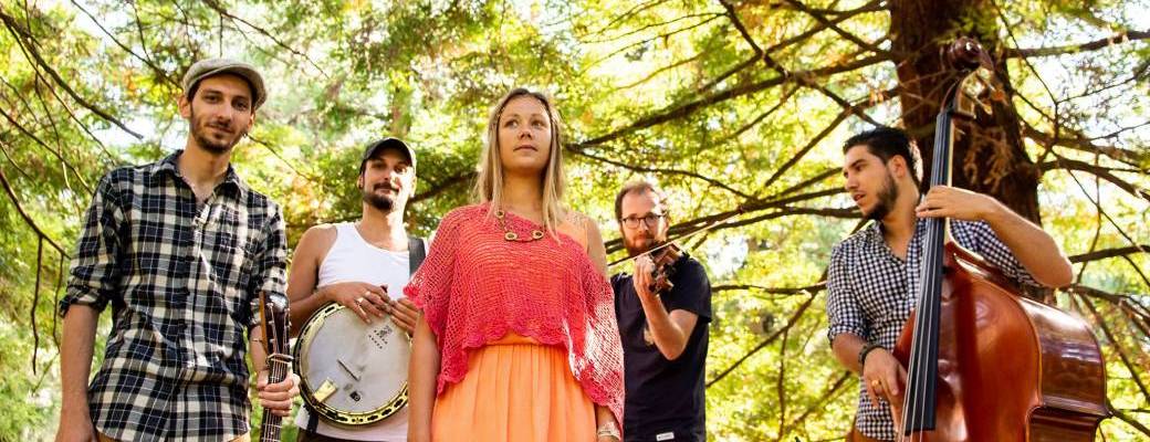 Silene & The Dreamcatchers (Irish Bluegrass Folk)