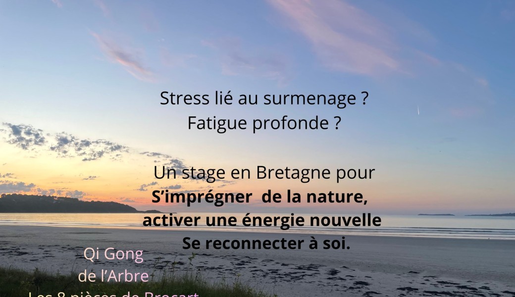 S'imprégner de la nature, activer une énergie nouvelle, se reconnecter à soi
