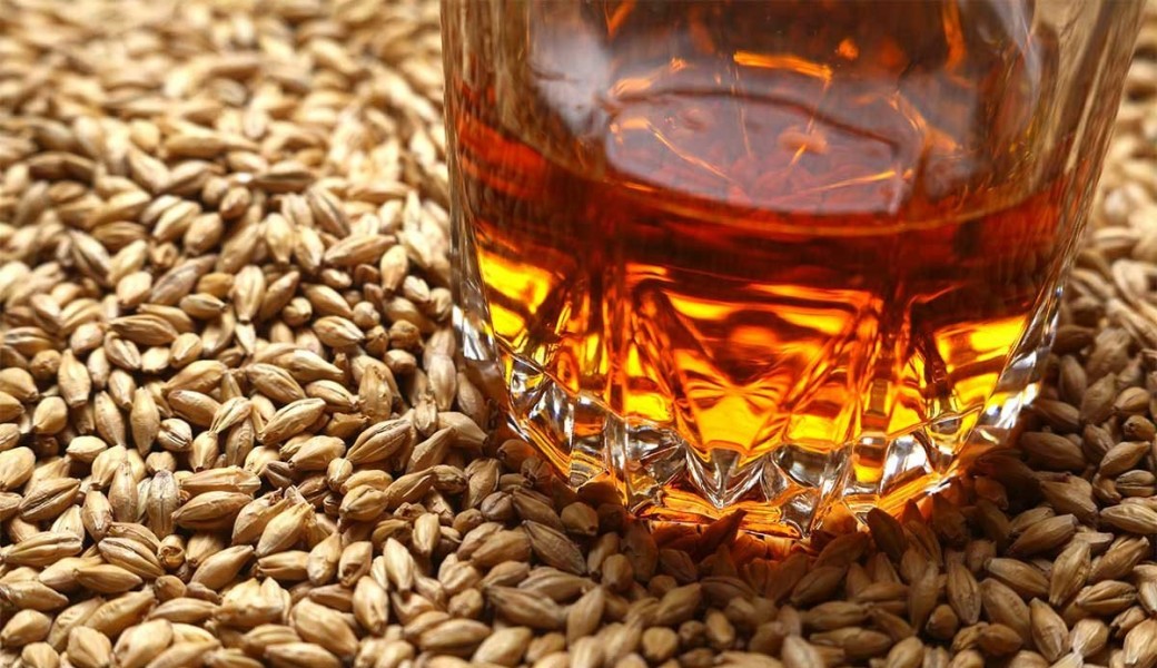 Single Malt, Rye, Bourbons... Le rôle des Céréales