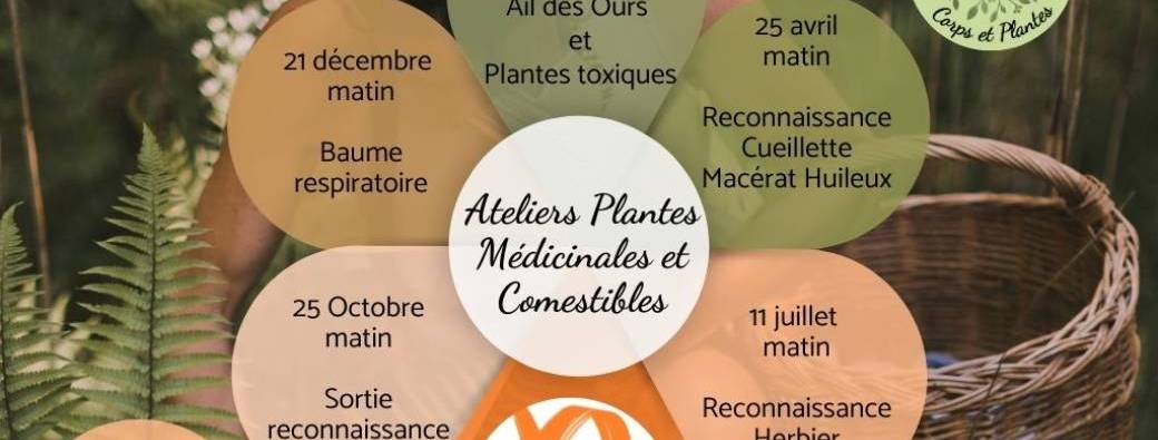 S'initier aux Plantes Médicinales