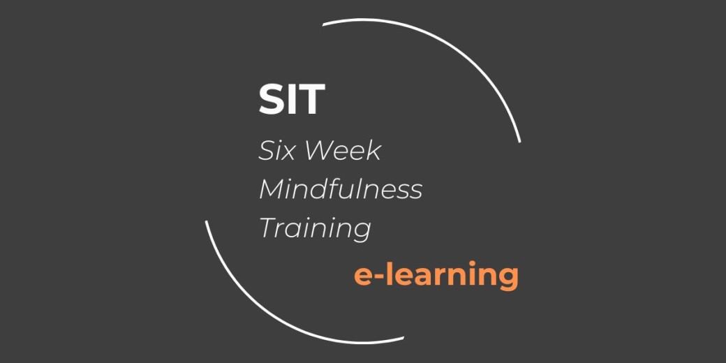 SIT en e-learning